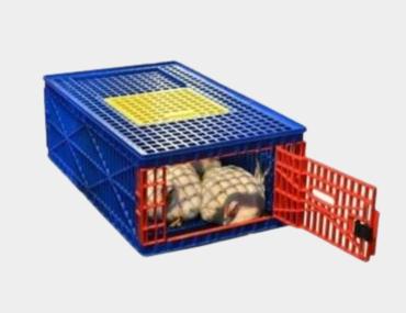Poultry Cage